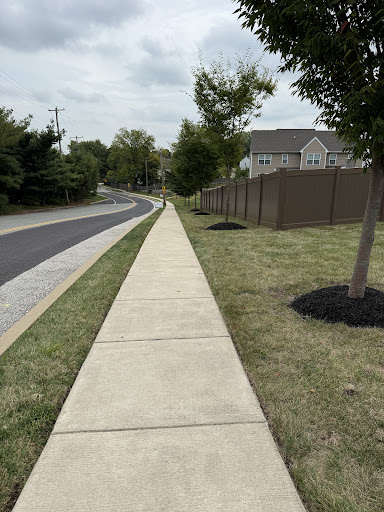 Photo from customer review